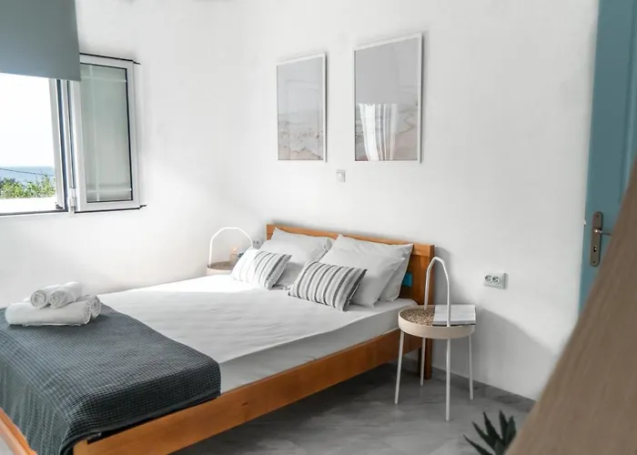 Andrikas At Xenios Avlais * Alikanász