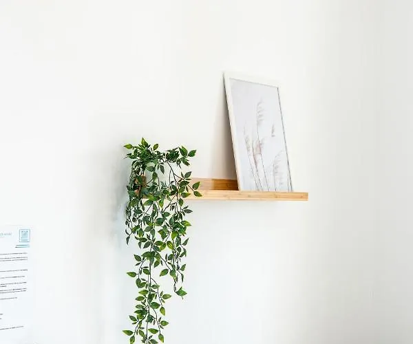 Andrikas At Xenios Avlais Alykanas (Zakynthos)