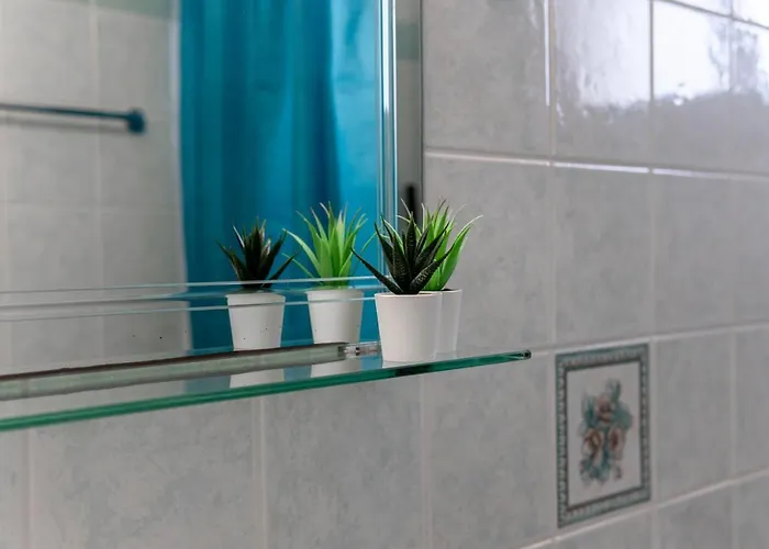 Andrikas At Xenios Avlais Alykanas (Zakynthos)